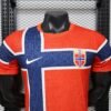 925d50cb-e7cf-4628-86a2-0ee2fc9dc4ee Nike Norway National football team home jersey,