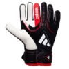 e5ace574-50b5-46d0-9e8a-4490e7067ae3 Adidas Copa Goalkeeper Gloves from the "Immortal DNA" pack,