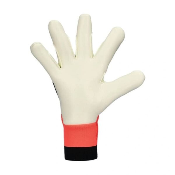f49210b2-5b11-4f11-bae0-aec759693ab7 Adidas Predator Pro "Road to Glory" Goalkeeper Glove.